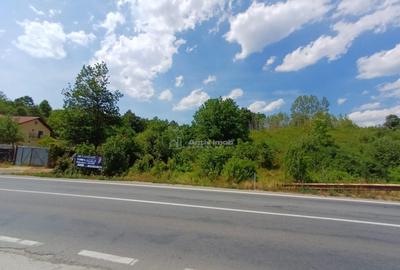 Resita, Terenuri Intravilane 2000 Mp., 28 Euro/Mp., Calea Ca - 5