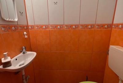 Stirbei Voda stradal-Schitu Magureanu-Cismigiu, - 10