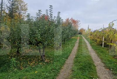 Casă cu 4 camere cu Teren 9700 Mp în Baisa - 5