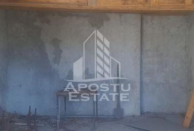 Casa individuala in Cruceni ,la granita cu Serbia - 7