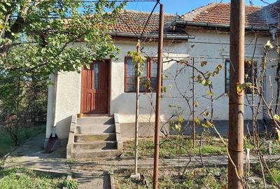 Casă cu 3 camere cu Teren 1500 Mp în Goicea - 1