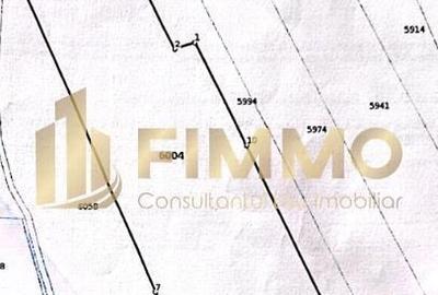 Teren Liteni | 127 ari | acces drum 7m | ID: 1116 - 5