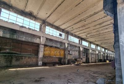 SPATIU INDUSTRIAL (cariera SITORMAN) - 3