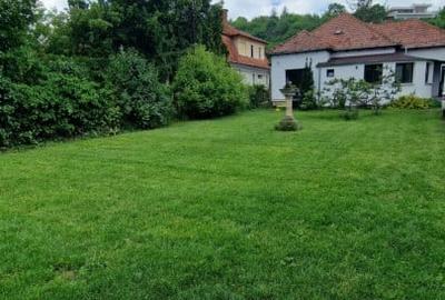 Vila interbelica cu 4 camere, curte 600mp, Grigorescu - 4