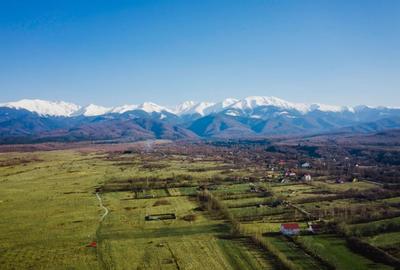 Teren extravilan de vanzare 1000 mp - zona Valea Avrigului - 2