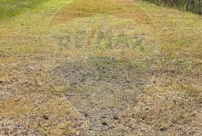 Casă cu 3 camere în Valea Cufundoasă - 8