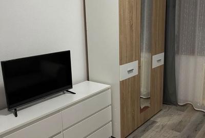 Apartament cu 2 camere decomandat în Turnișor - 12