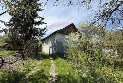 Casă individuală cu 5 camere cu Teren 3056 Mp în Sud - 13