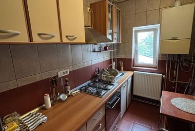 Apartament cu 2 camere nedecomandat în Parcul Carol - 7