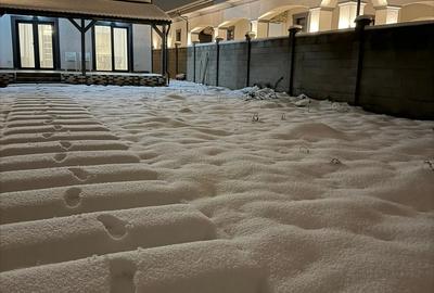 Casă cu 6 camere cu Teren 620 Mp în Freidorf - 10