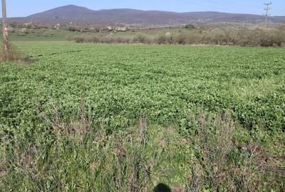 Spațiu comercial, în Central - 1