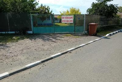 Casă cu Teren 1000 Mp în Murighiol - 2