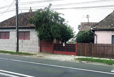 Potențial imobiliar! 12377 mp + 2 case in curte, front  30 m +2900 mp intravilan - 14