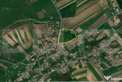 Casă cu 3 camere cu Teren 18449 Mp în Păingeni - 5