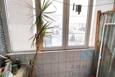 Apartament cu 3 camere semidecomandat, mobilat în Ozana - 13