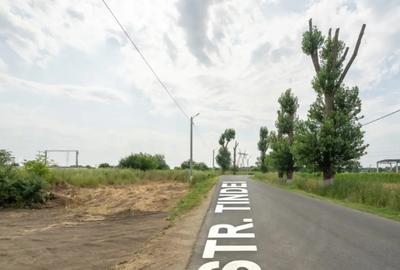 Teren de 30000 mp, în Cernica - 3