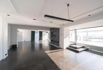 Penthouse spectaculos, zona Barbu Vacarescu, cu vedere la lacul Tei - 6