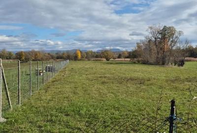 Teren de 2700 mp, în Chechiș - 3