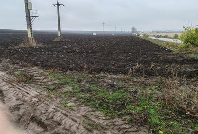 Teren arabil extravilan - 3