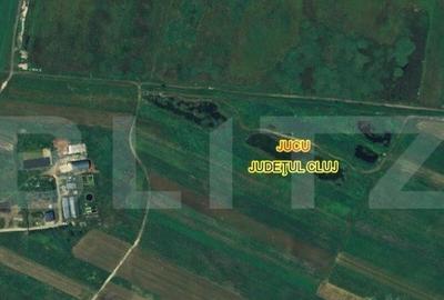 Teren cu lac de vanzare in Jucu! - 2