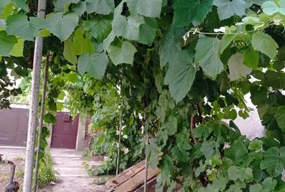 Casă cu 3 camere în Central - 1