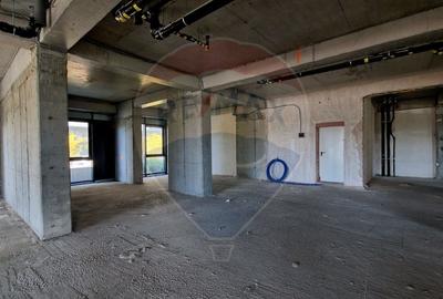 Spațiu comercial, de 321.89999389648 mp, în Nord - 2