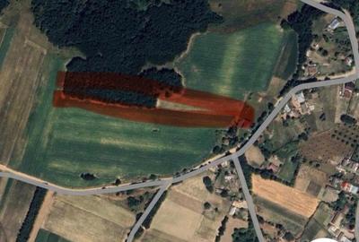 Teren agricol extravilan de 6400 mp, în Poiana (Brăești) - 1