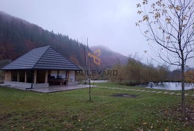 Proprietate cu potențial turistic în zona montană a Țării Lăpușului - 3