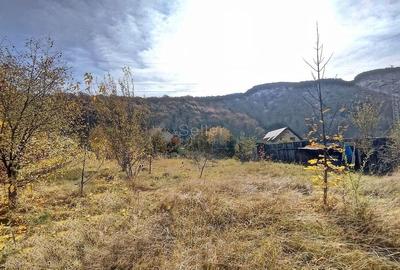 Teren Intravilan Bunloc - 12