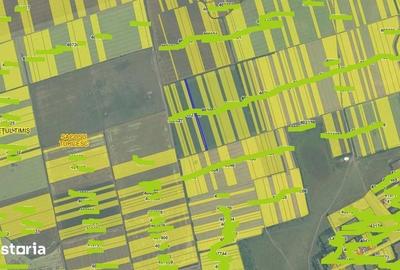 Teren de 5800 mp, în Avrămeni - 5