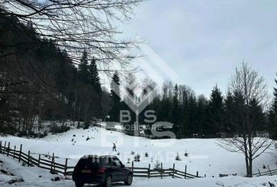 Teren intravilan parcelabil- Colibi?a, investitie - 4