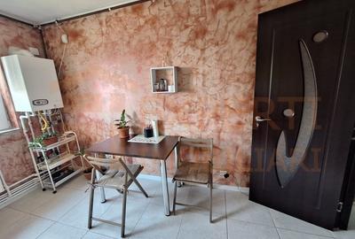 Apartament 2 camere de inchiriat, locuinta pet friendly, in zona Inel II - 8