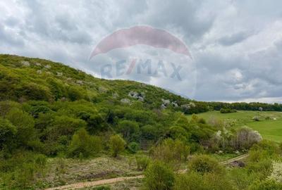 Apartament cu 2 camere semidecomandat, mobilat în Florești - 2