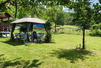 Spațiu comercial, în Goranu - 1