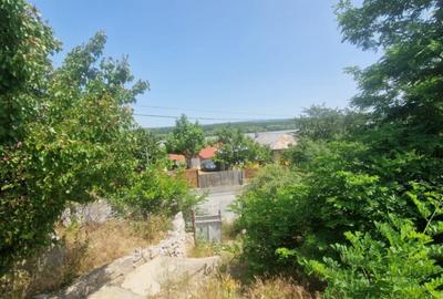 MAHMUDIA-TERENURI SI CASE - 6