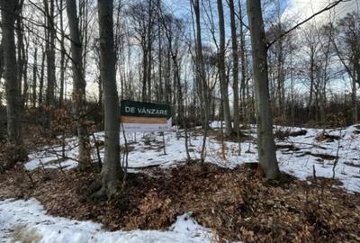 Teren de 3025 mp, în Central - 4