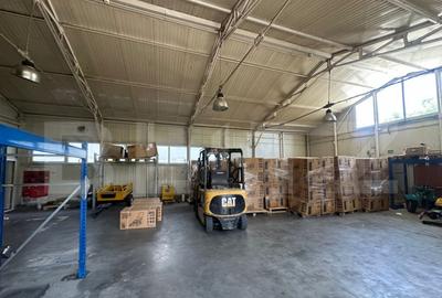 Trei hale industriale + Anexe, zona Breasta - 2