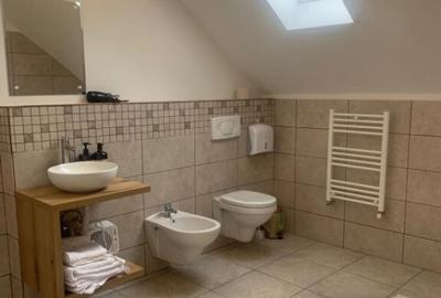 Casa zona Damila , suprafa?a utila 115 mp , teren 277 mp - 4