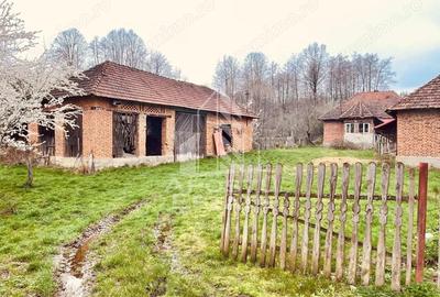 Casă cu Teren 10000 Mp în Laz - 14
