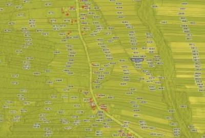 Teren extravilan, loc. Bustuchin, Jud Gorj - 3