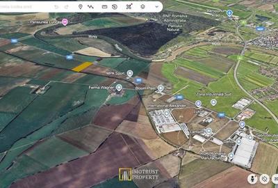 Teren de 21000 mp, în Sud - 3
