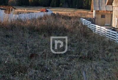 Teren intravilan Poiana Stampei ???? - 3