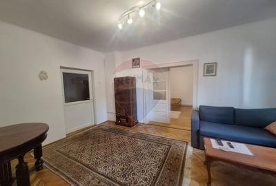 Doua case de vanzare in aceeasi curte, in zona Sub Arini - 15