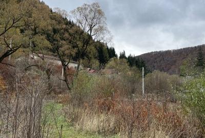 Teren Azuga acces din DN1 toate utilitatile - 5