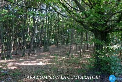 Teren de 6700 mp, în Central - 8