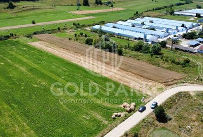 Teren Intravilan - Gilau - Autorizatie Construire Hale - 9