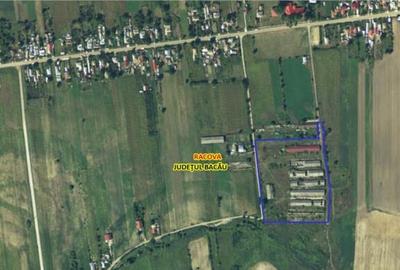 Platforma industriala 27.000mp - Racova - Buhusi - 14