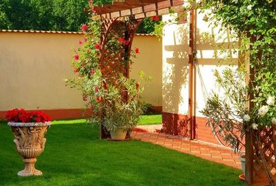 Casă cu 4 camere cu Teren 750 Mp în Trivale - 3