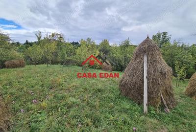 Casă în Șotrile - 10