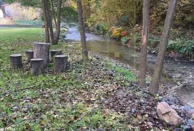 Proprietar. Vand teren. Paraul Runcu este limita de proprietate. Drum asfaltat - 3